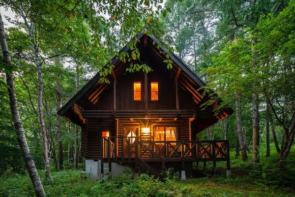 The Ultimate Guide to Log Cabin Roof Repair and Maintenance