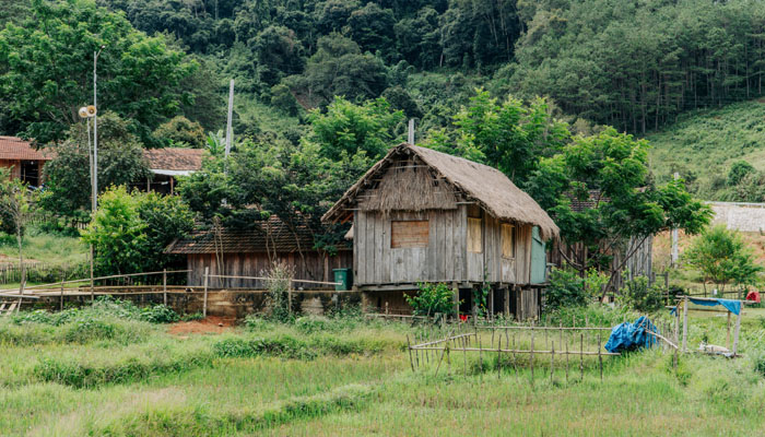 Why Some Rustic Cabins Are a Nightmare to Live In